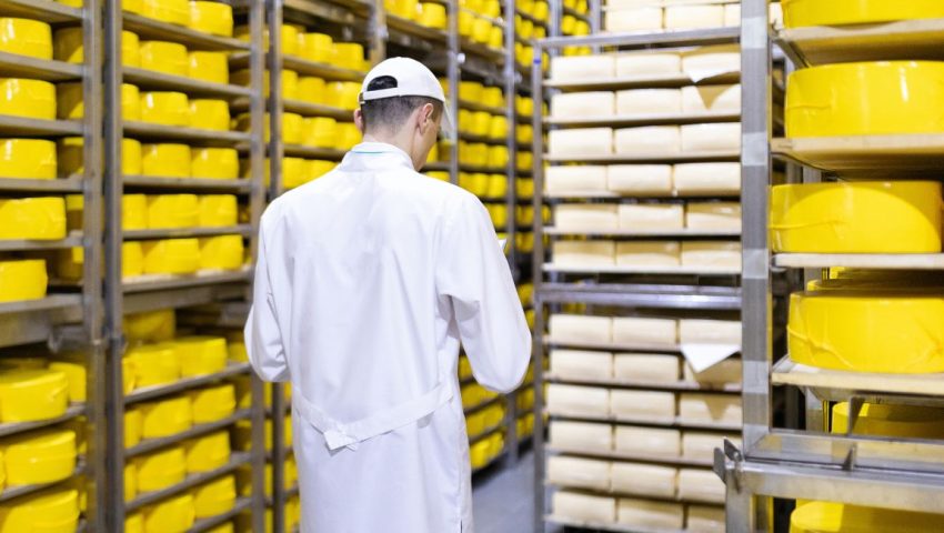 Personale che controlla la produzione di formaggio, nell'industria alimentare